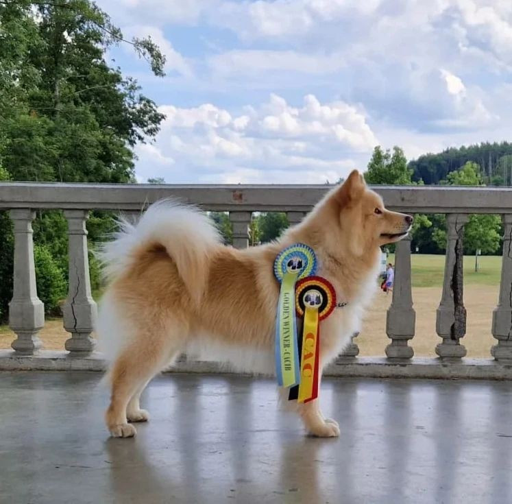 Pirate will turner du Domaine D'Arinella Bianca